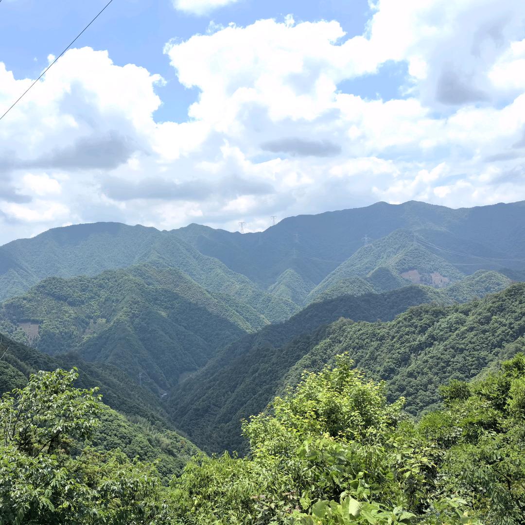 maxiaoyang8888