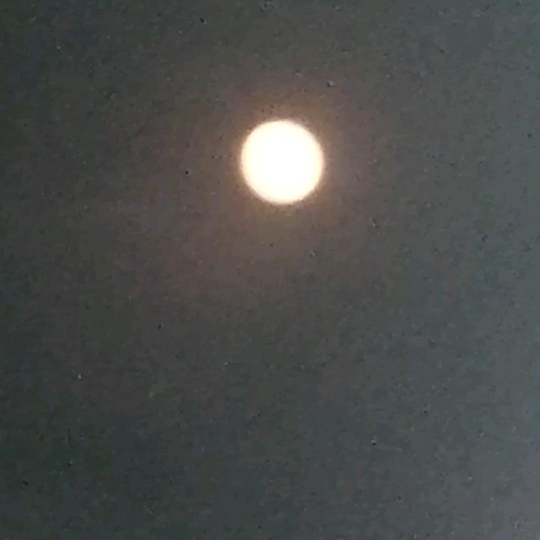 自问