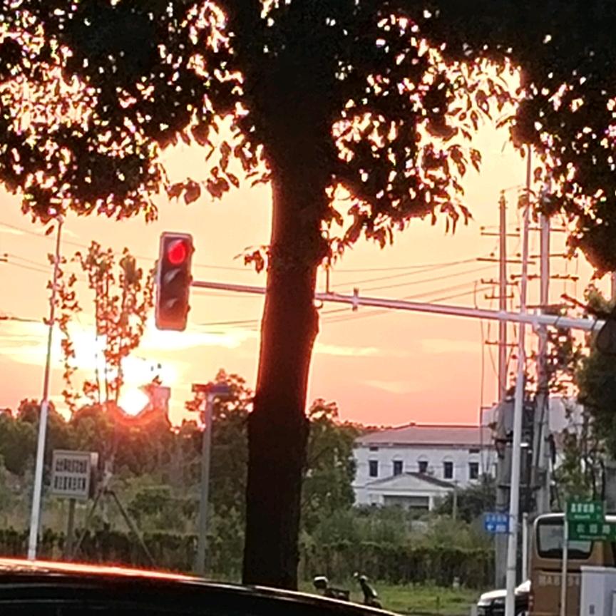 言午言若