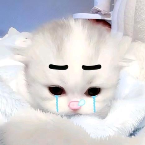 X.le˶ᵒ ᵕ ˂˶