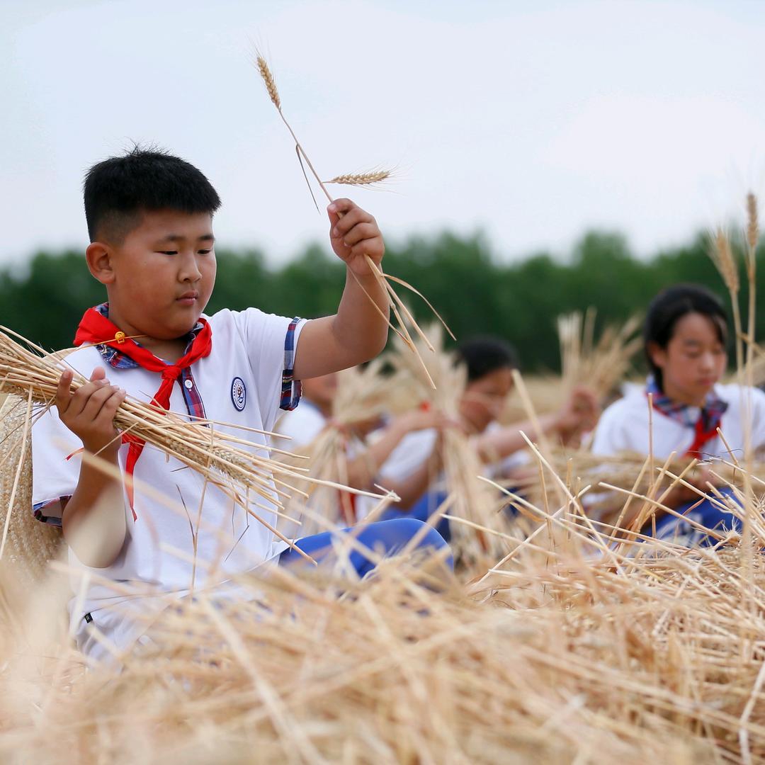 阳光六年  润泽一生