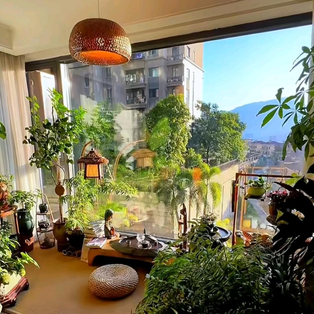 三水绿植