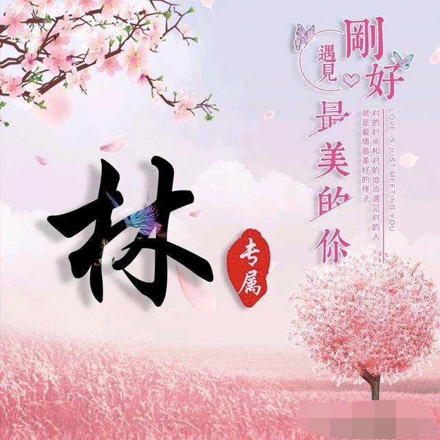 鸿杰Inspirational li