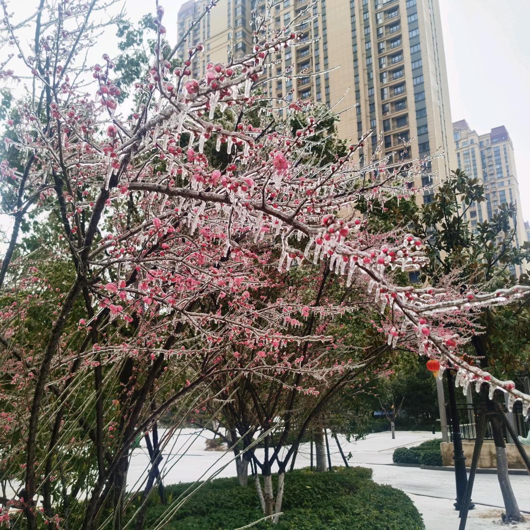 🌈快乐开心就好