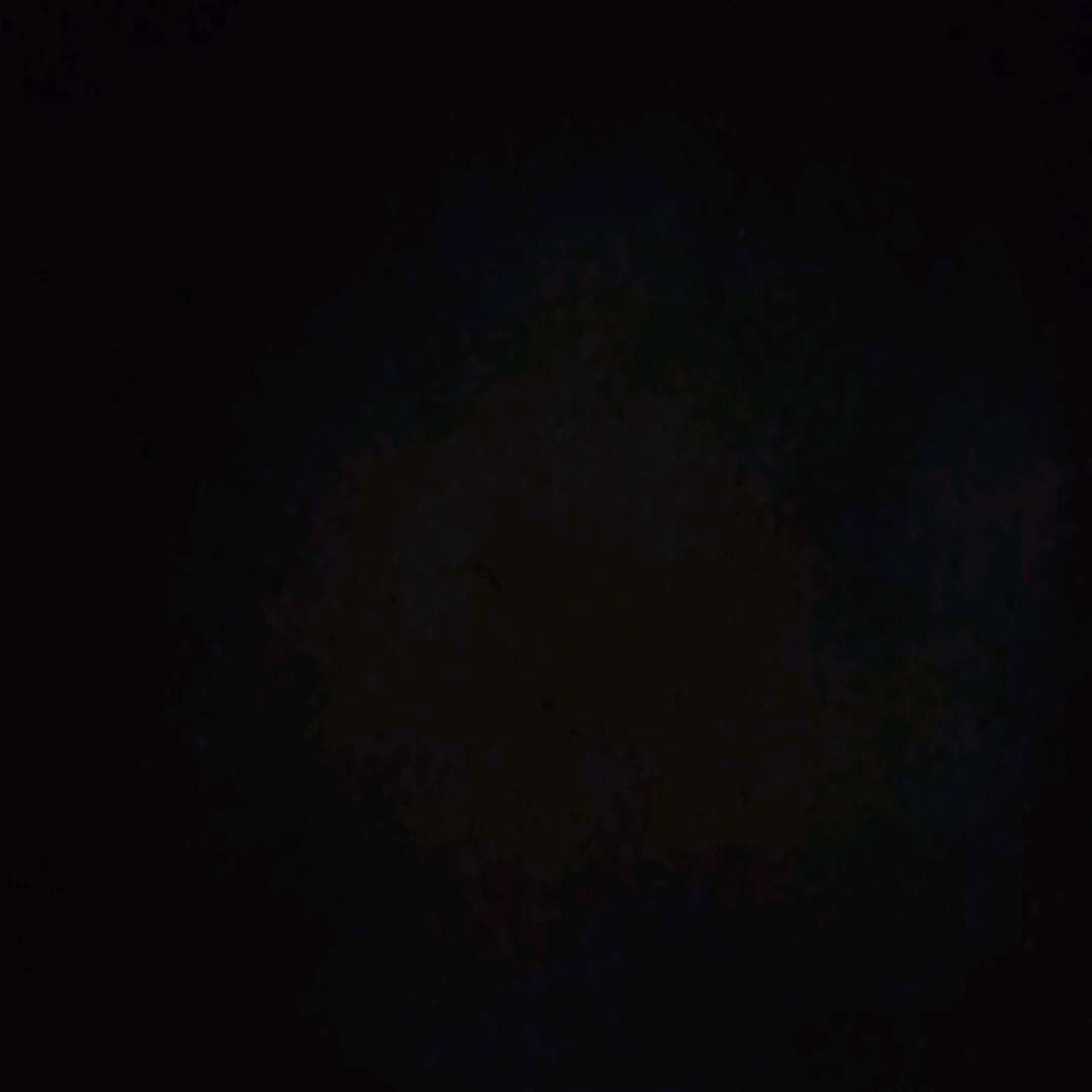 快乐每一天