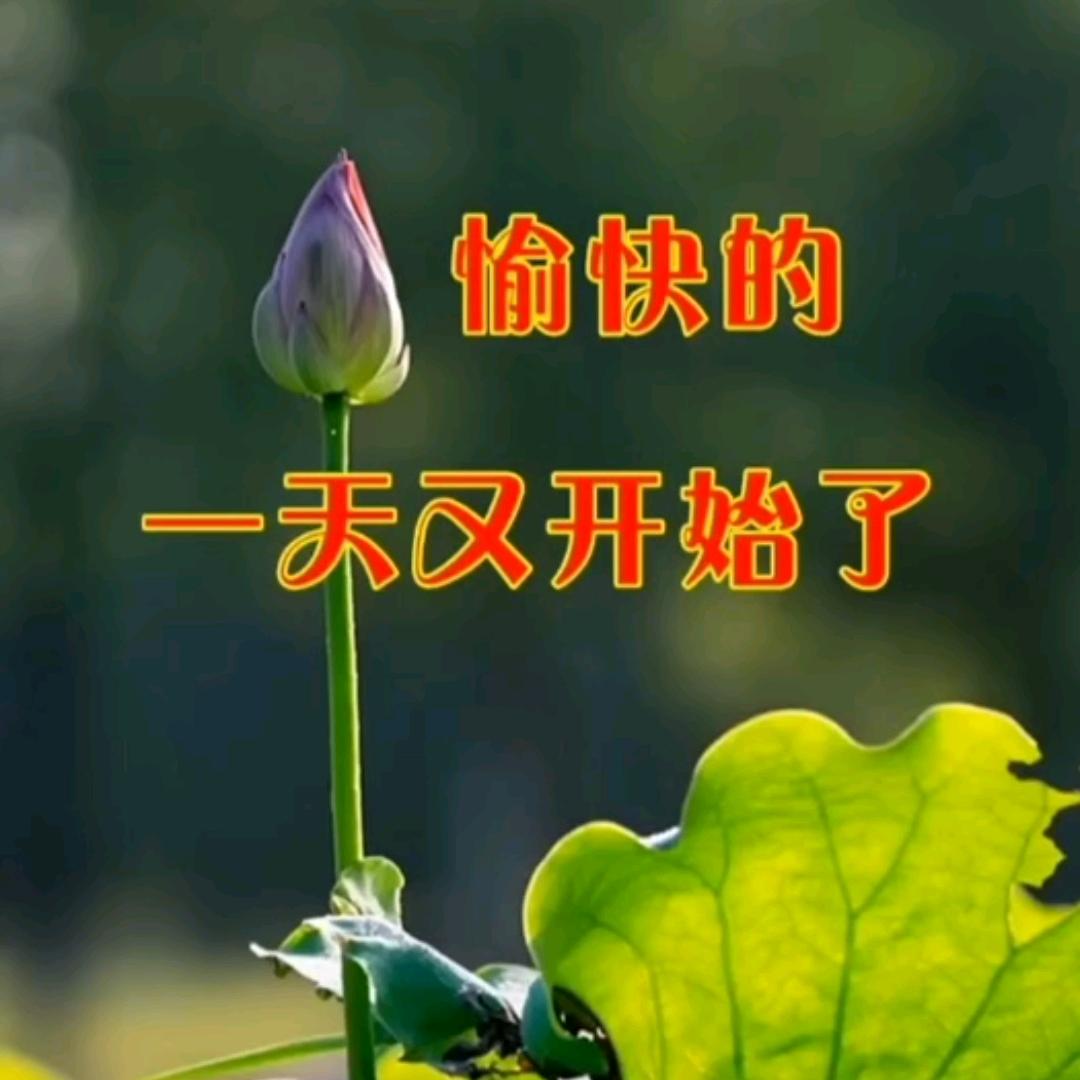 塔聊