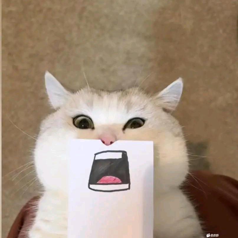 南鸢
