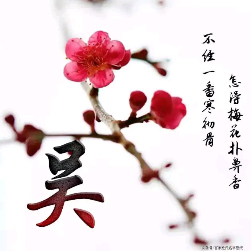 沙漠雨