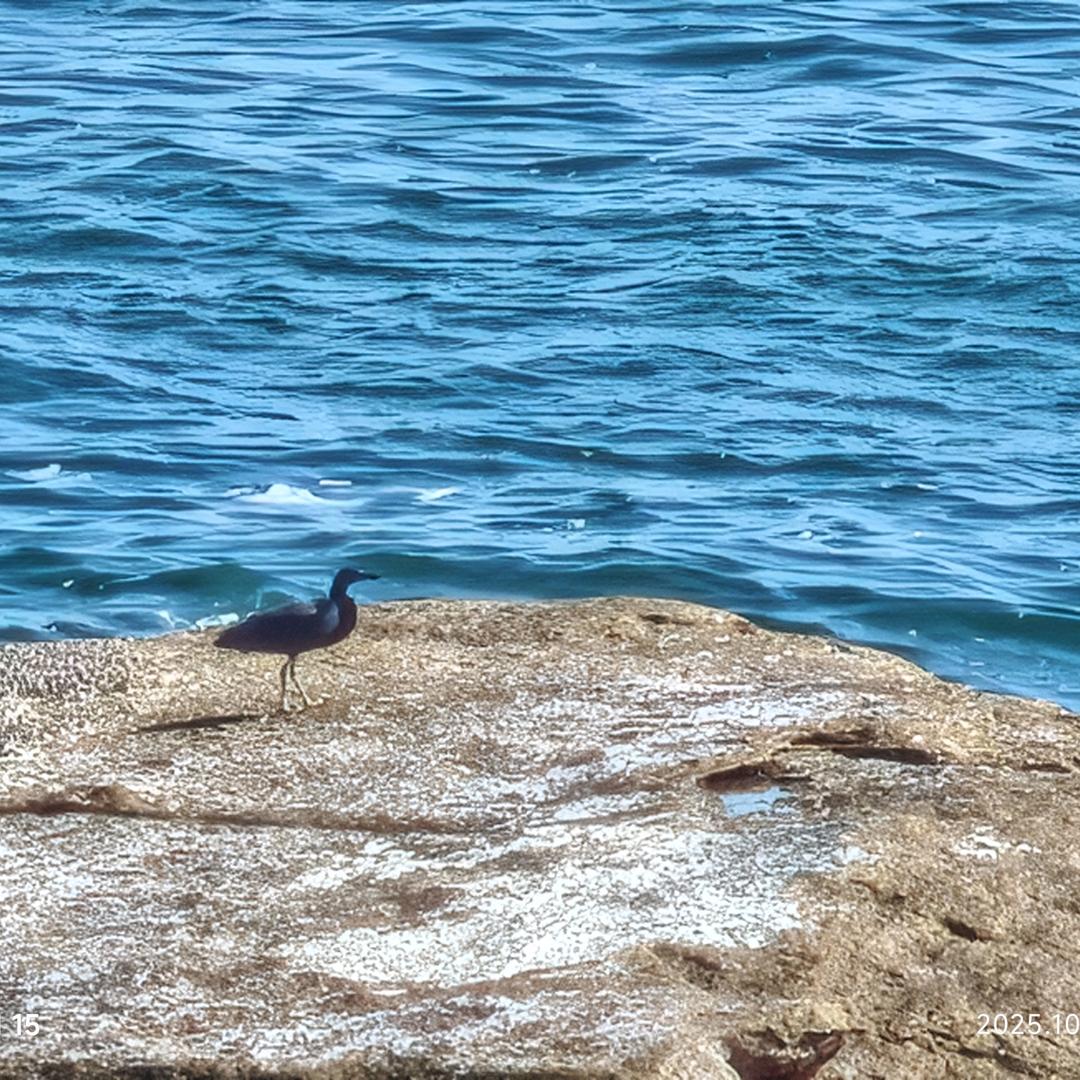 阿浩先生📸