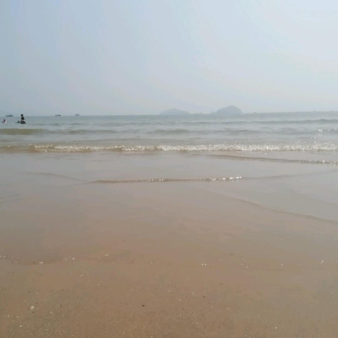 梦里什么都有