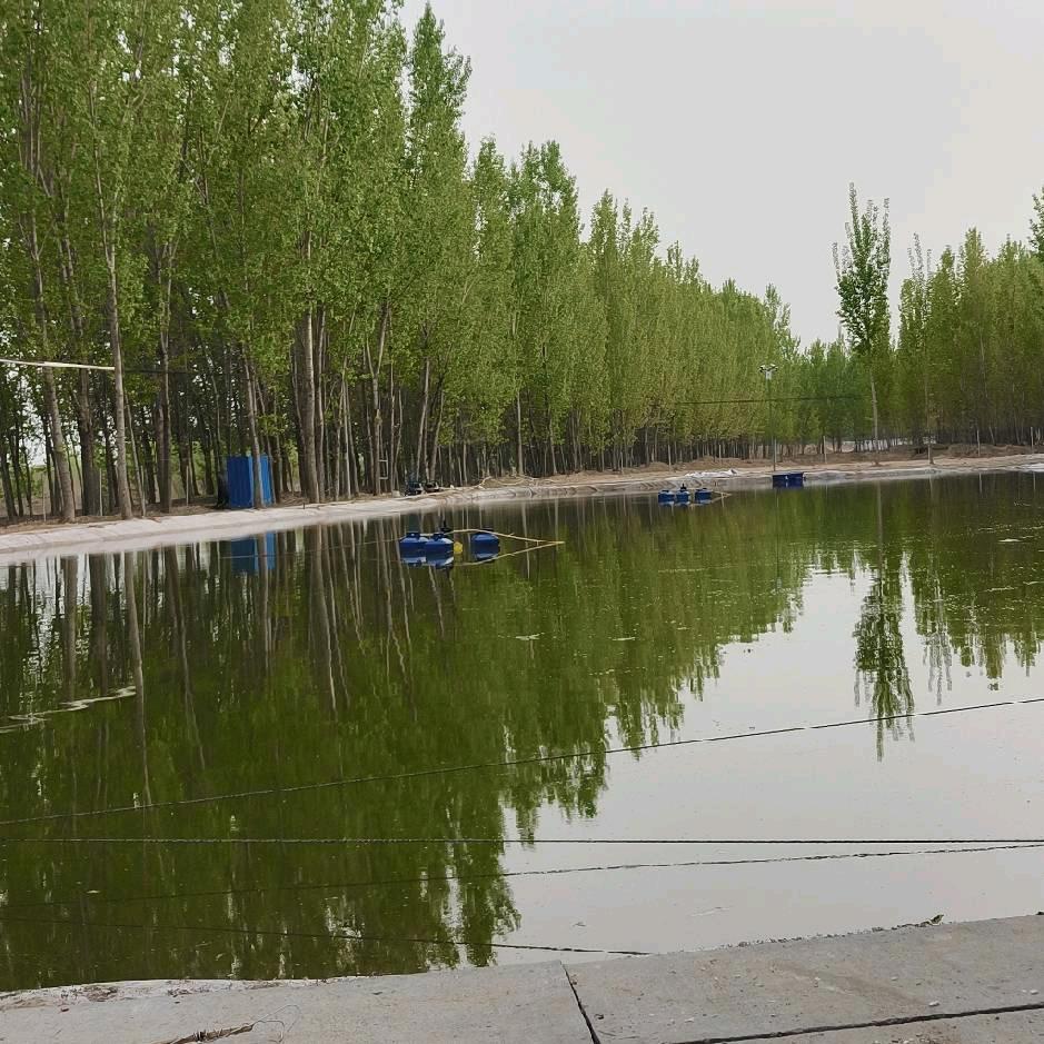 武邑大郭垂钓园 财哥