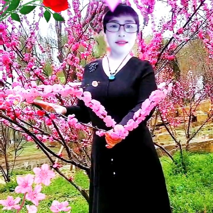春满花开