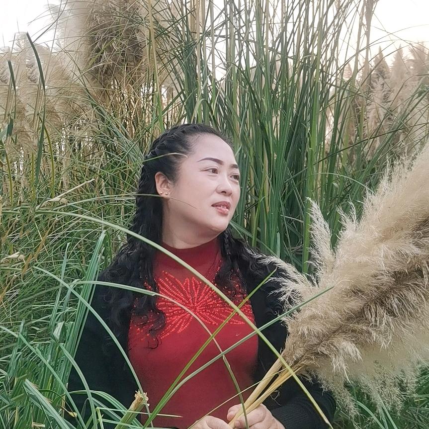 铿锵玫瑰