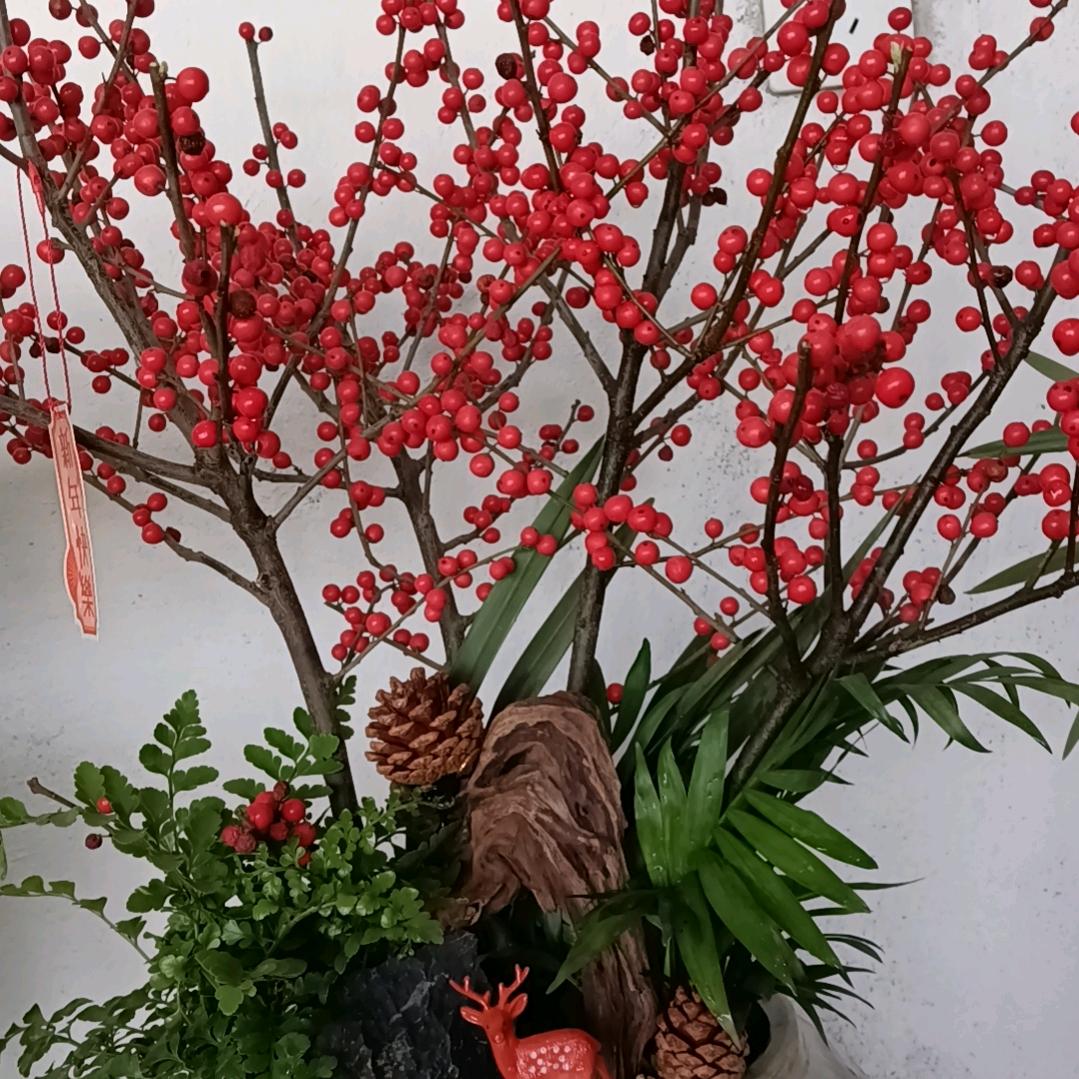 郁语希花卉
