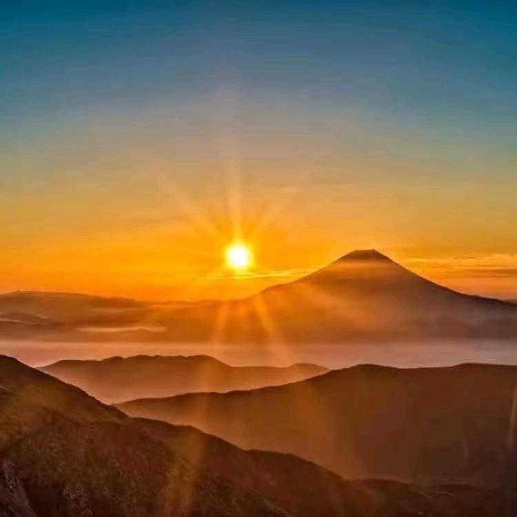 明光🌻