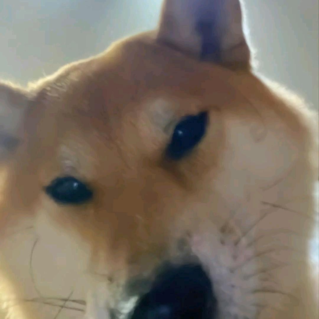 我不是药神-