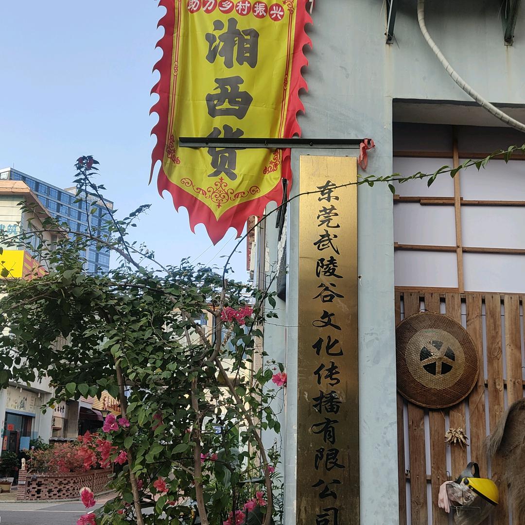 东莞武陵谷文化传播有限公司