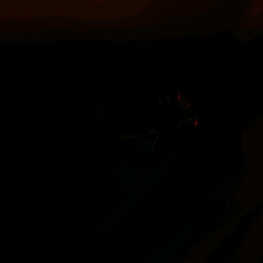 笑看！人生百态