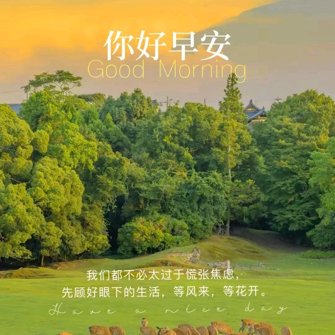 幸福家