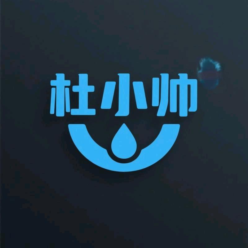 杜小帅洗护清洁专营店