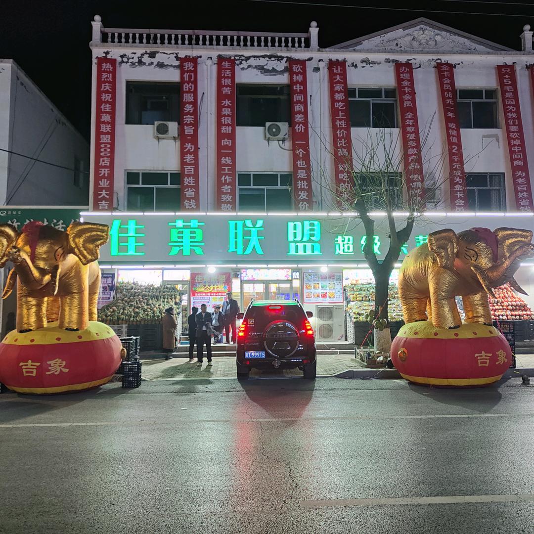 佳菓联盟超级果蔬批发仓