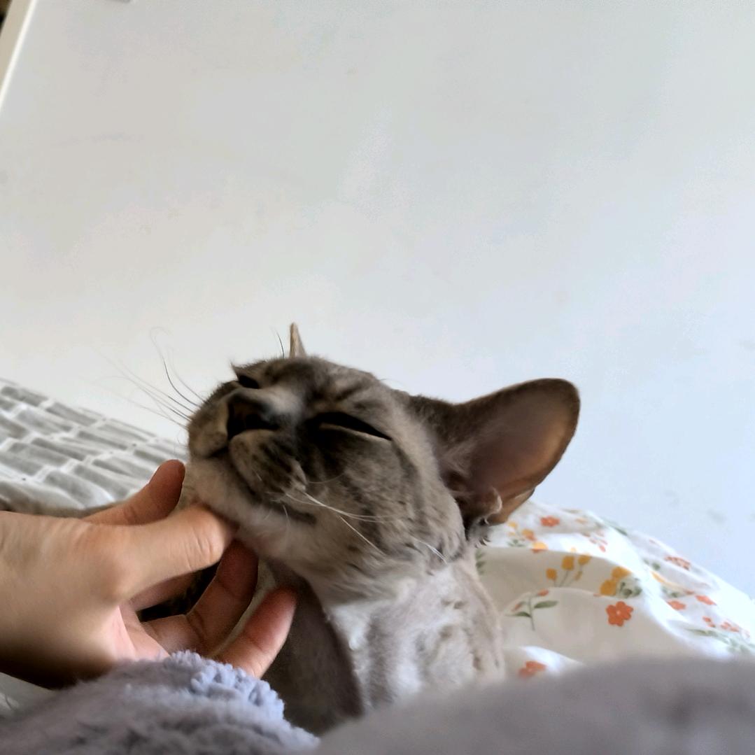 信德财税