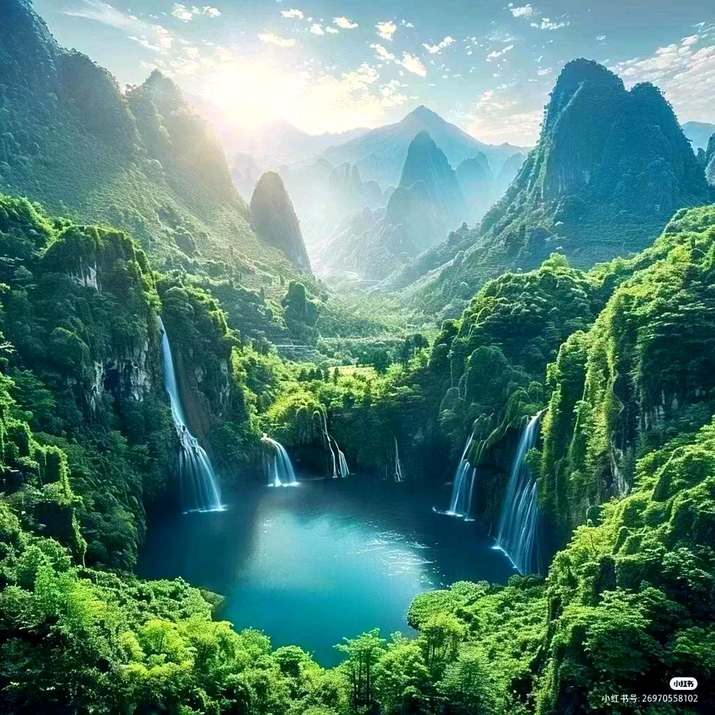 小杜娟