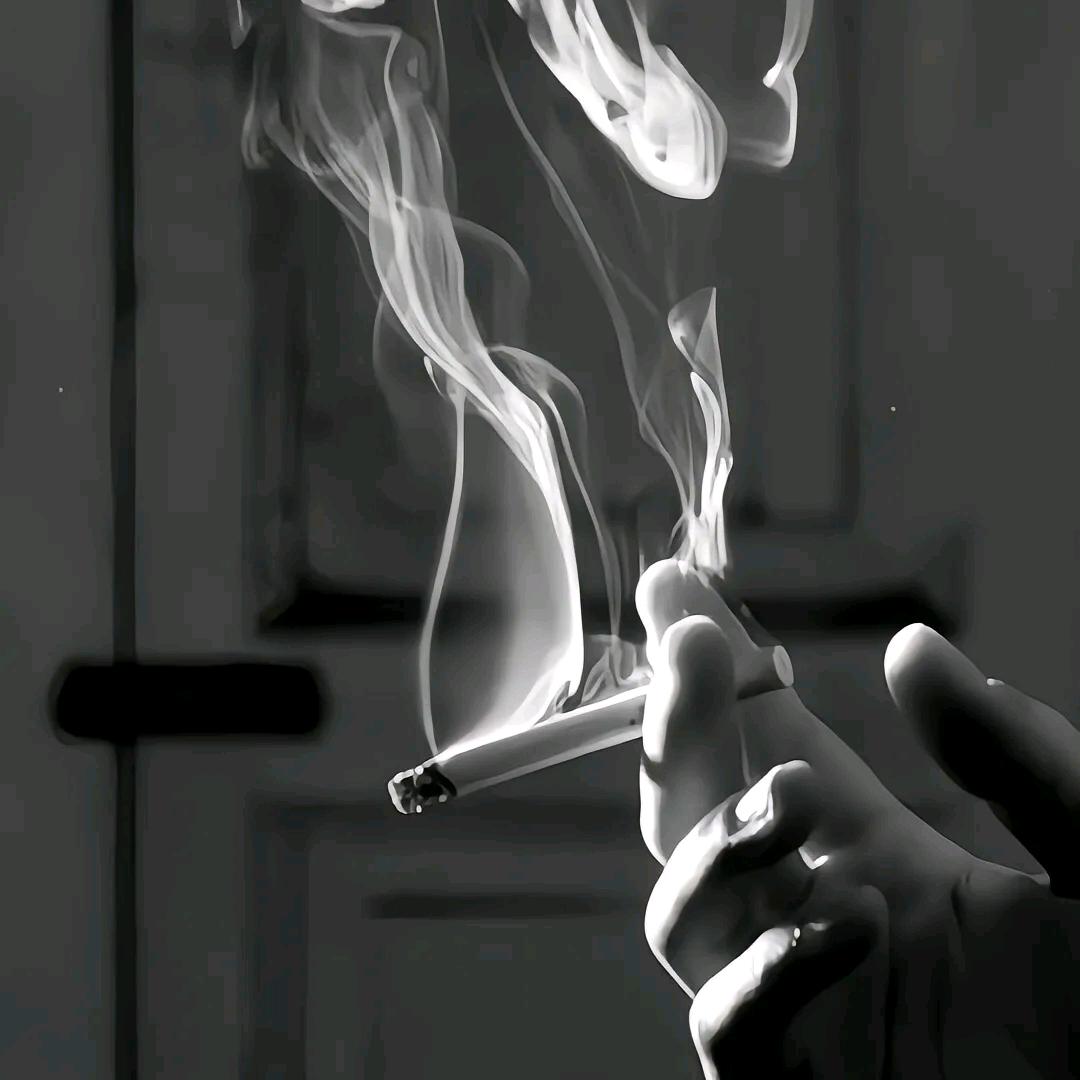 冰糖葫陆