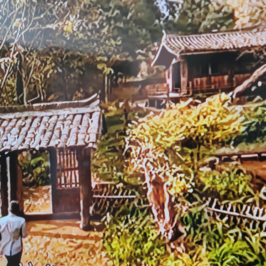 青哥园艺