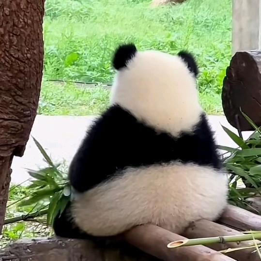 好吃就行