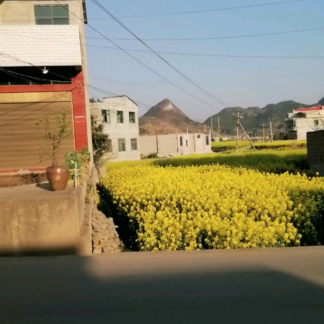 重庆巫山