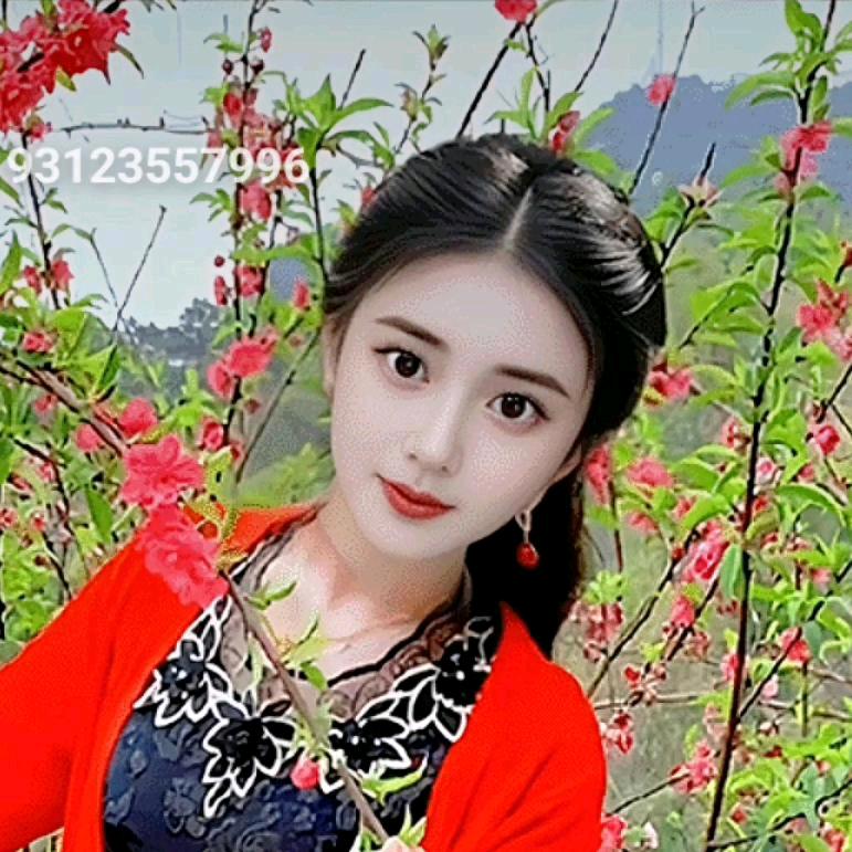 你的世界不在来