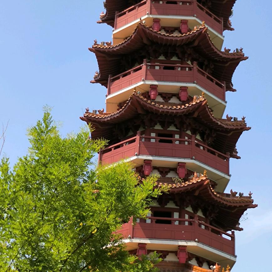 乐在其中