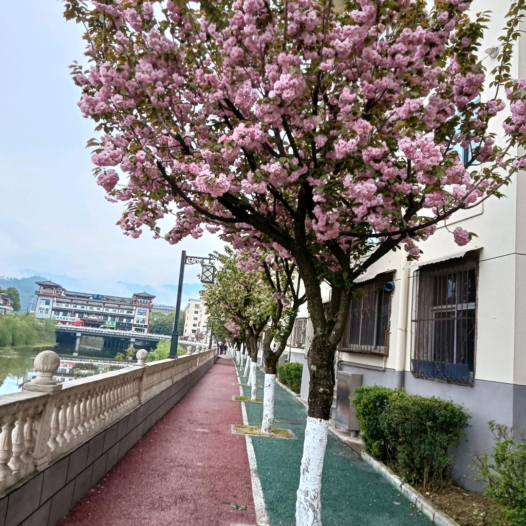你是我索要不起的风景