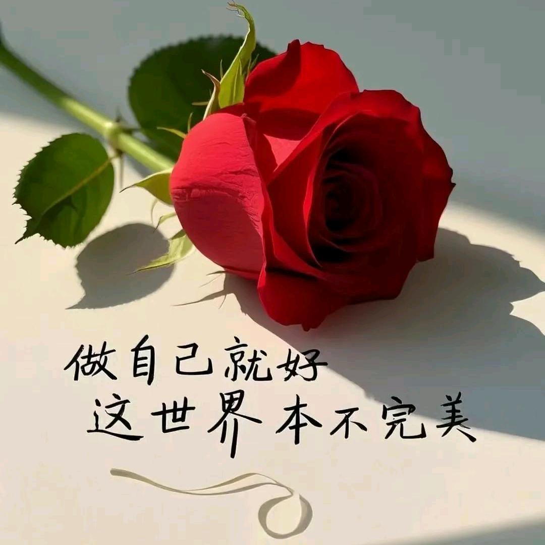 💚⃝心ི࿆之ᩚྀ࿆泪᭄💕