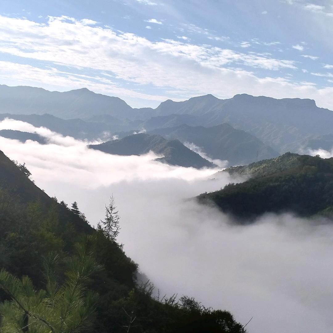 书法爱好者，郑旭