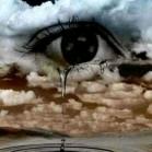 ❤️只宠婷婷❤️