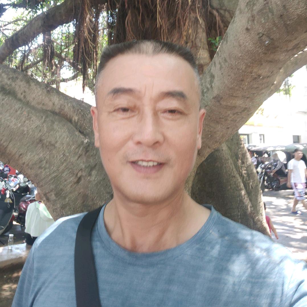 小青松