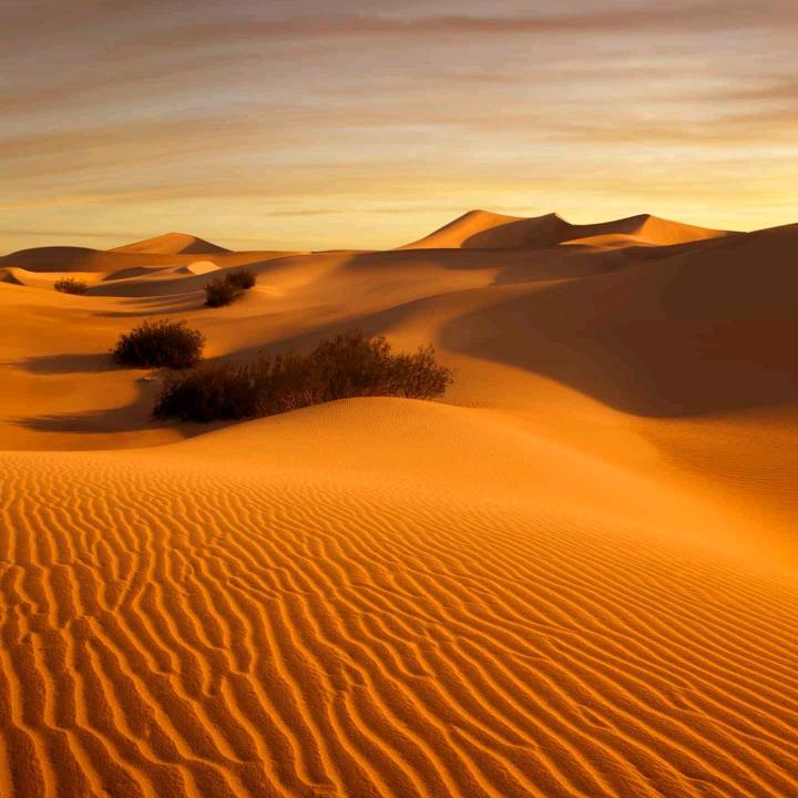 从容（拒绝私聊）