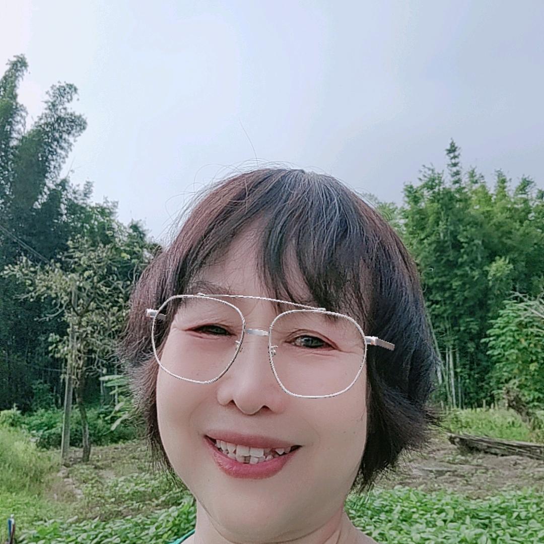 琴棋书画