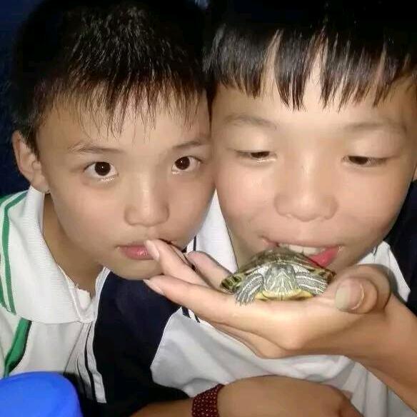 情已断あ意以绝