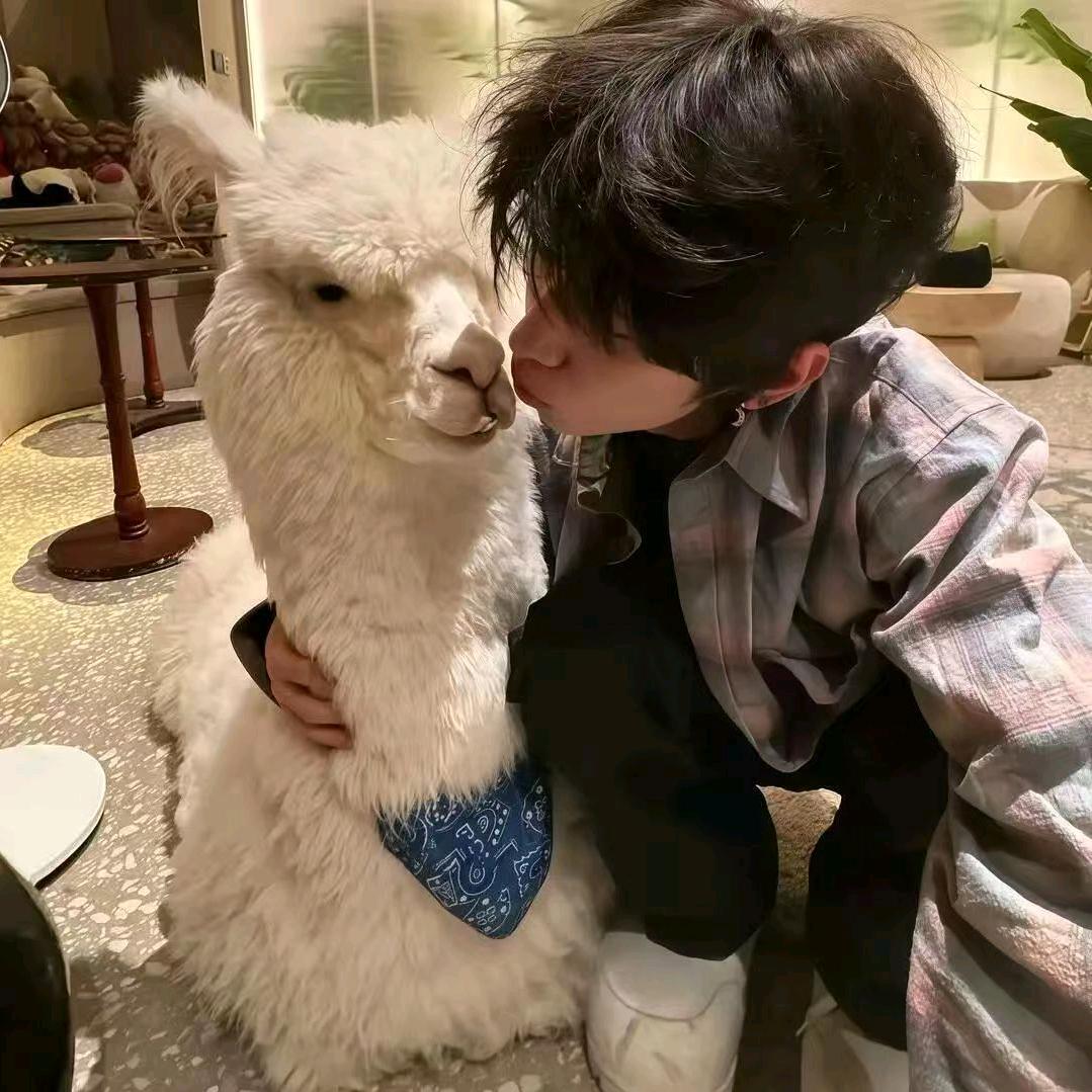 粉条💕