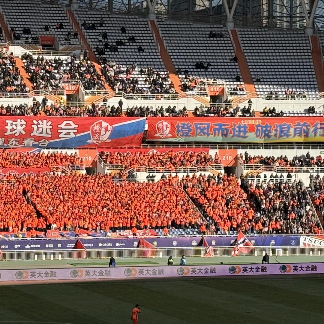 鲁能泰山