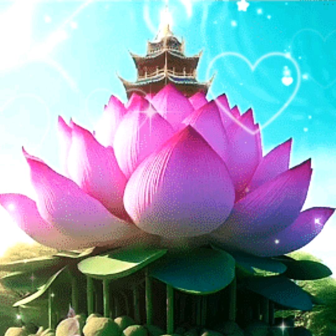 傻姐 《善缘》