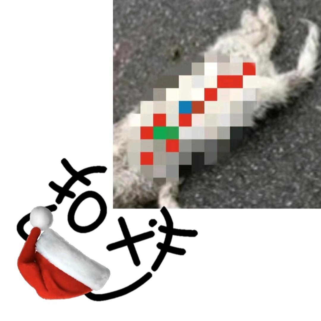 哥伦比亚比索警察