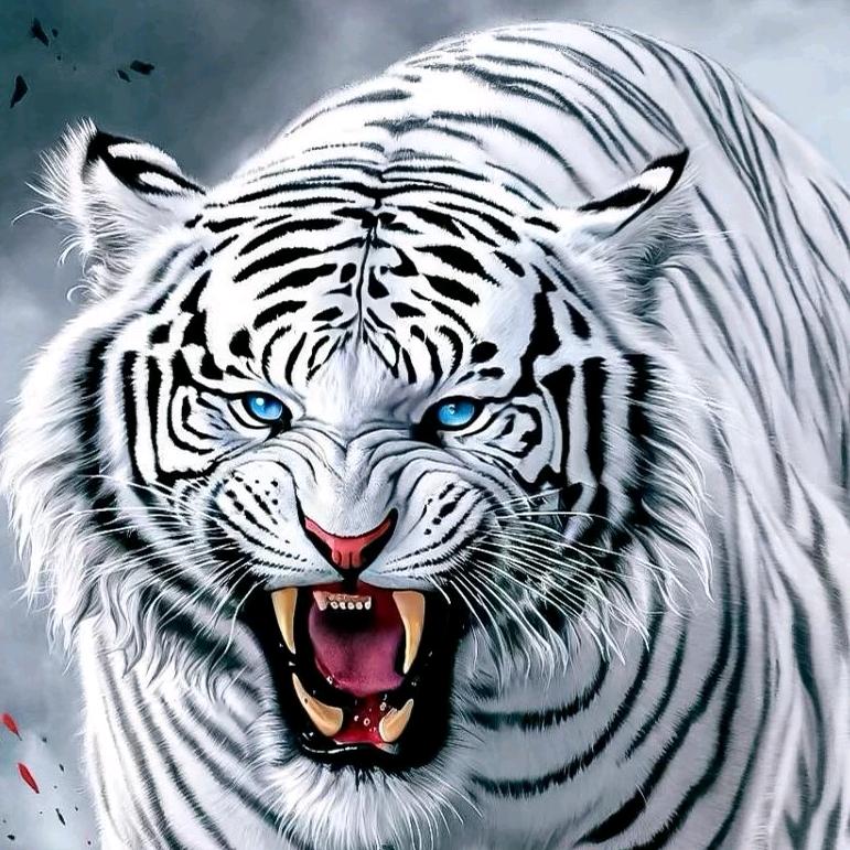 🐯❤️‍🔥❣️（弥）❣️❤️‍🔥