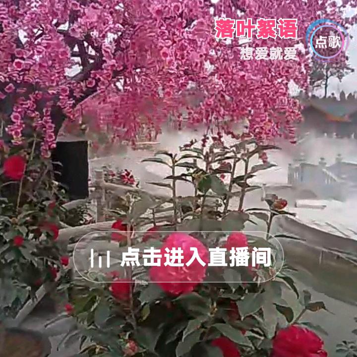 许家三妹
