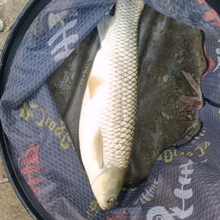 雷仔爱钓鱼🎣
