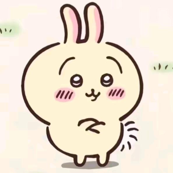 小张zzz