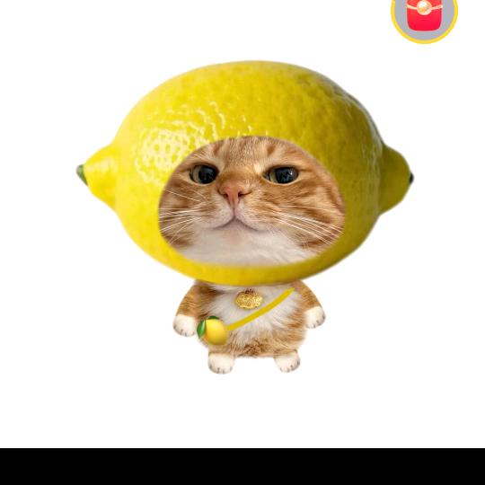 小怡哟